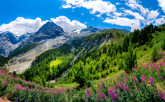 Italy, Stelvio National Park. Alpine landscape.