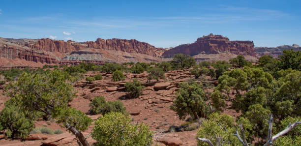 istock Panoramic of Capitol Reef National Park 825238468