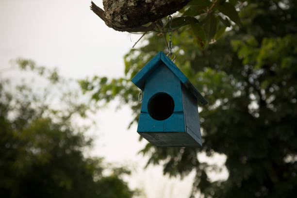 istock Colorful bird nest on the tree 825239730