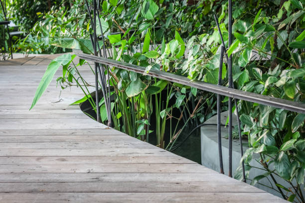 istock Bridge walkway with handrail surround with green plant 825250124