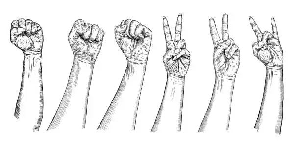 Vector illustration of Set of girl and man V sign hand and freedom fist symbol. Set of victory hand gestures. Drawn style pen and ink illustrations of female and male revolution signs wrists. Vector.