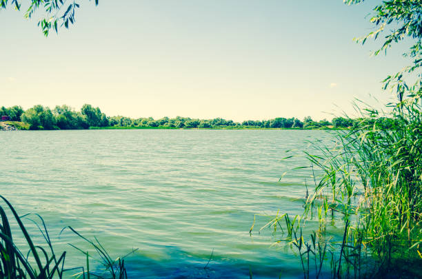 Morning river with rippling toned