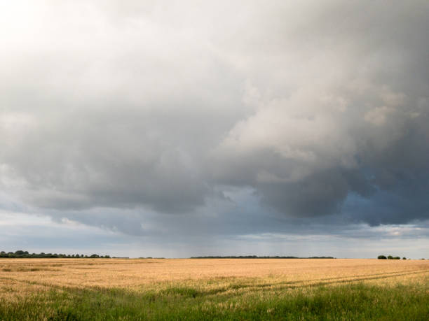 istock Farmland with dark clouds in the background 825255504