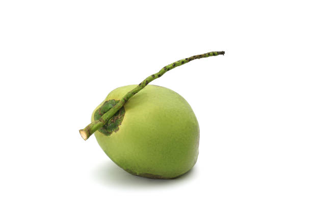 istock Coconut Ripe and tasty isolated on white background 825258702