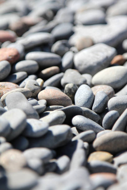 istock Closeup of grey, white and various coloured pebbles and stones. 825259744
