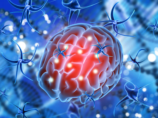 istock 3D medical background with brain being attacked by virus cells 825261900
