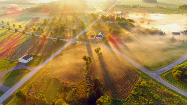 istock Magical misty foggy landscape at dawn 825267910