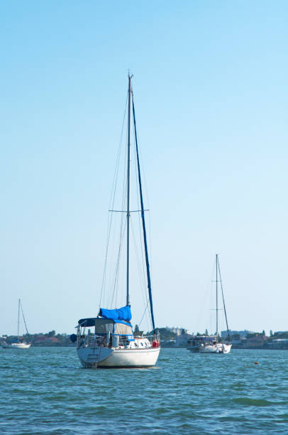 istock Sailboats at sea 825267980