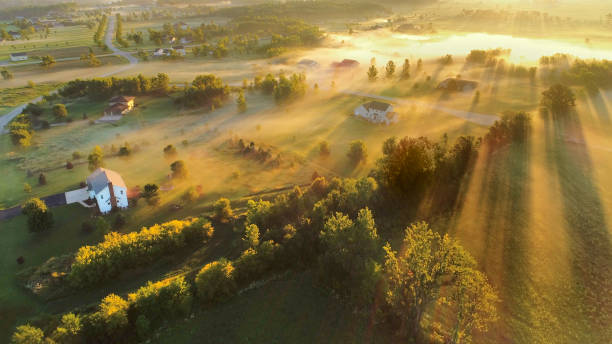 istock Misty country landscape at dawn, aerial view. 825268232