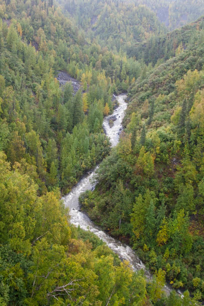 Mountain Stream Mountain Stream near Talkeetna, Alaska. talkeetna mountains stock pictures, royalty-free photos & images