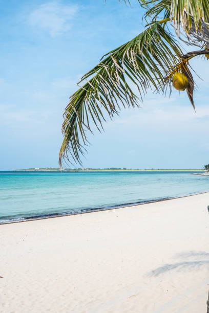istock Abaco Island, Bahamas 825272250