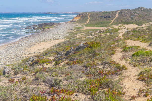 istock Trails in Queimado beach, Vila Nova de Milfontes 825287656