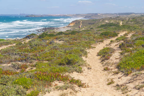 istock Trails in Queimado beach, Vila Nova de Milfontes 825287746