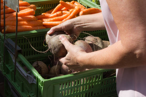 buying vegetables and food on street market