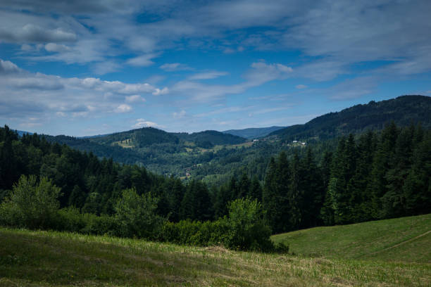 istock in the mountains on a sunny summer day, mountain landscape 825292014