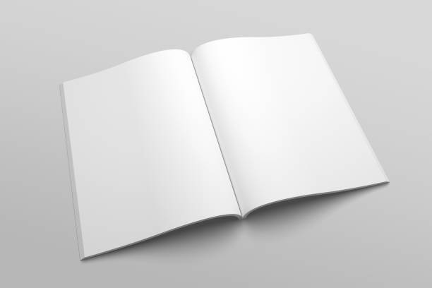 istock US Letter magazine or brochure 3D illustration mockup No. 3 825294808