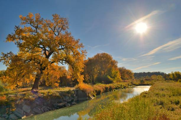 канал биллингс риверфронт парк - billings стоковые фото и изображения