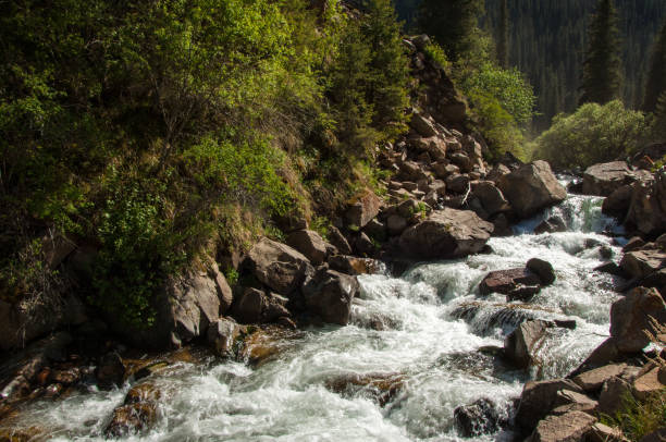 istock Tien Shan mountains. Assy plateau 825307238
