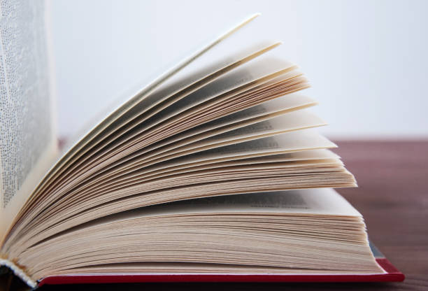 istock Opened book, lying on a wooden background with toning. 825307512