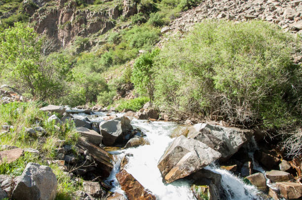 istock Tien Shan mountains. Assy plateau 825313008
