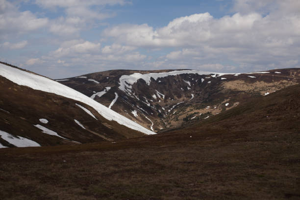 istock Spring mountain landscape. Carpathians, Ukraine, Europe 825313344