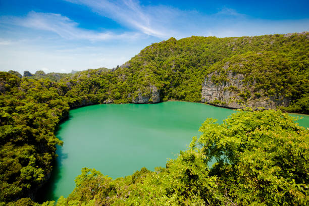 istock green lagoon, ang thong marine park, thailand 825313620