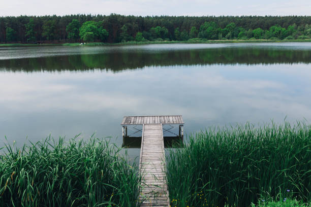 istock Pier on a calm river in the summer 825316414