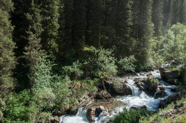 istock Tien Shan mountains. Assy plateau 825323500