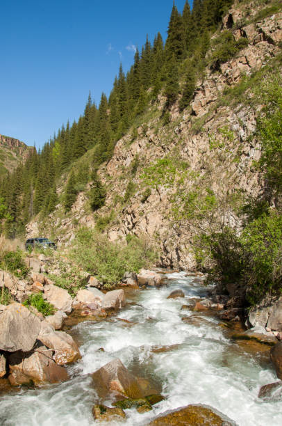 istock Tien Shan mountains. Assy plateau 825324290