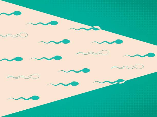 Lowering Sperm Count Lowering sperm count illustration. contraceptive stock illustrations
