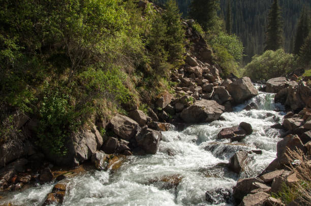 istock Tien Shan mountains. Assy plateau 825329558