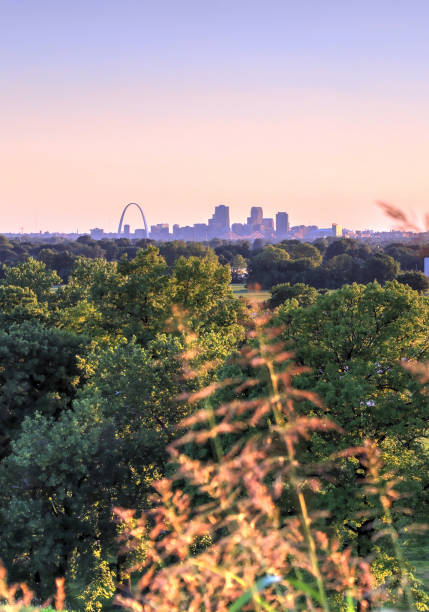 istock St. Louis, Missouri from Cahokia Mounds 825340626