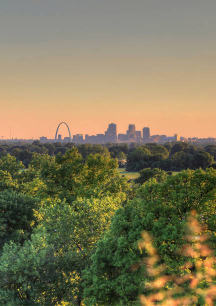 istock St. Louis, Missouri from Cahokia Mounds 825340630