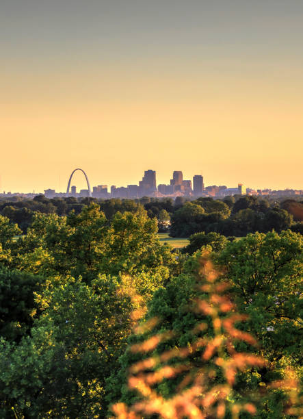 istock St. Louis, Missouri from Cahokia Mounds 825340638