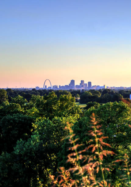 istock St. Louis, Missouri from Cahokia Mounds 825340644