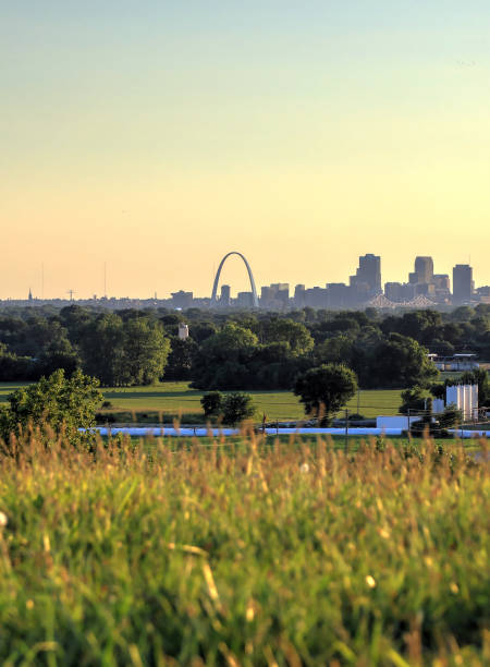 istock St. Louis, Missouri from Cahokia Mounds 825340716