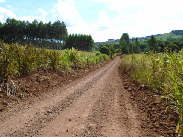 istock Dirt road in Brazil 825340728