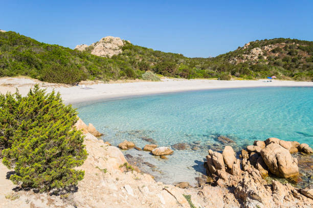 istock Beach northeast of Sardinia (Italy). 825341048