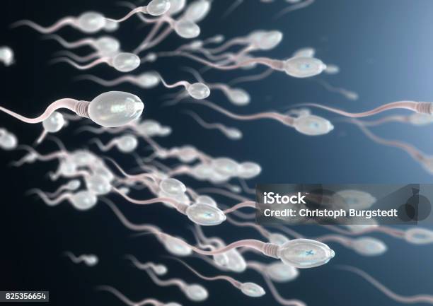 3d Illustration Of Sperm Cells Moving To The Right Stock Photo - Download Image Now - Sperm, Human Fertility, Males