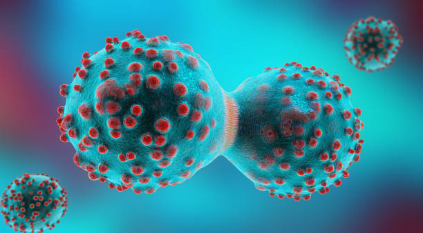 illustrazione 3d di una cellula tumorale nel processo di mitosi - genetic mutation foto e immagini stock