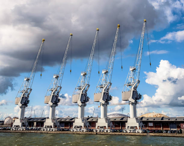 View on cargo cranes at the port of Antwerp