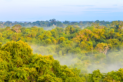 View on the morning fog over the brazilian rainforest in Brazil