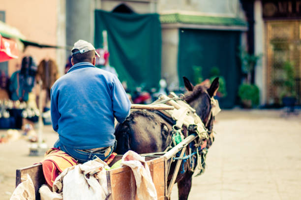 istock Donkey cart by Marrakech in Morocco 825360704