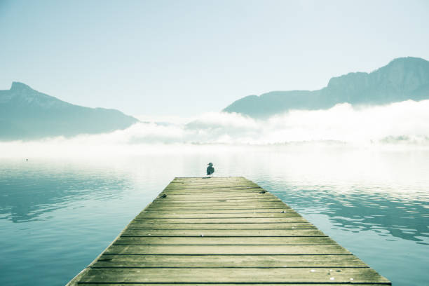 View on Pier with seagulls by mountain lake Mondsee in Autria