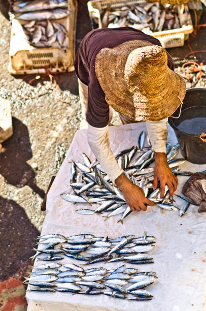view on fresh fish market on Essaouira in Morocco