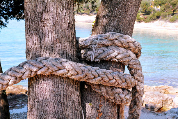 Beam and rope with beach background