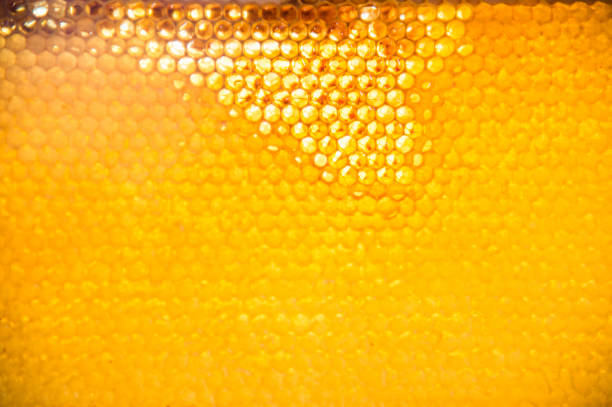 Unfinished fresh honey in honeycombs Unfinished golden fresh honey in lights honeycombs bee costume stock pictures, royalty-free photos & images