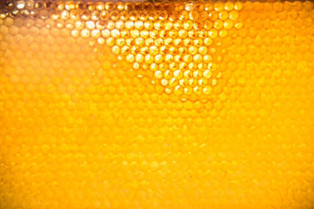 unfinished fresh honey in honeycombs - honey abstract photography composition imagens e fotografias de stock