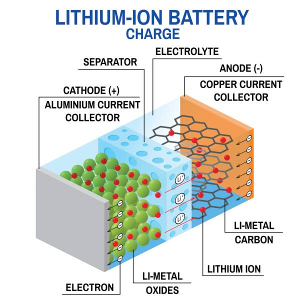 ilustrações, clipart, desenhos animados e ícones de diagrama de bateria li-ion - intercalated disc