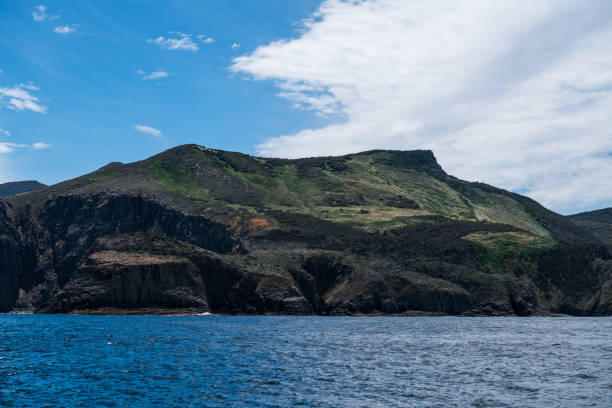 istock Tasmania sea cliff 825371344